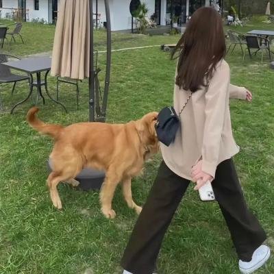都是陌生人 海报