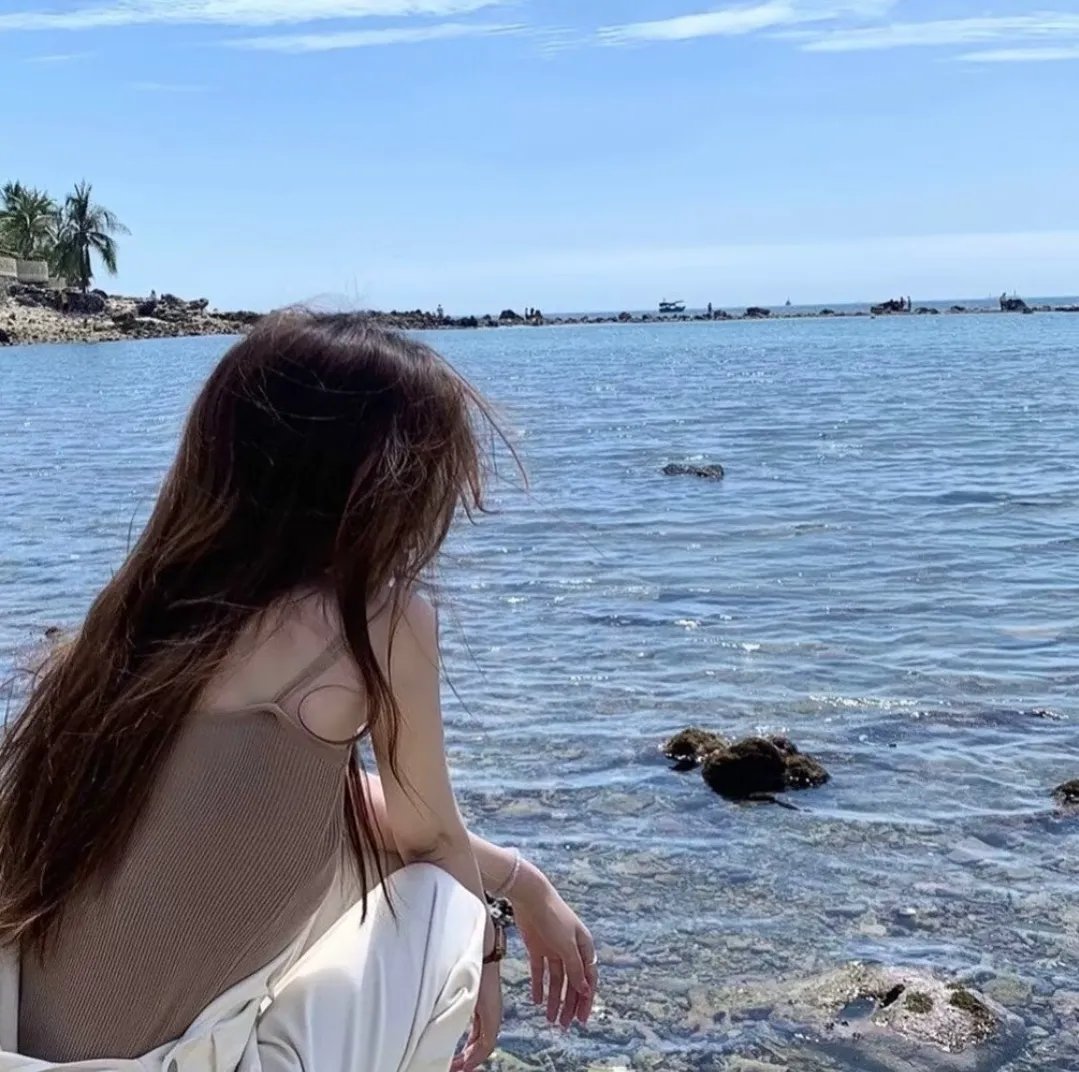天鹅公主的圣诞 海报